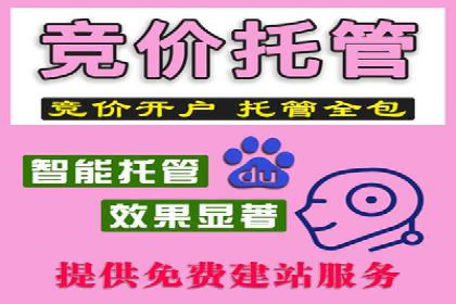 百度优化推广案例：打造高转化率网站